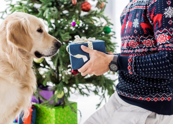 Santa Pfote kommt: Einzigartige Weihnachtsgeschenke für deinen Hund