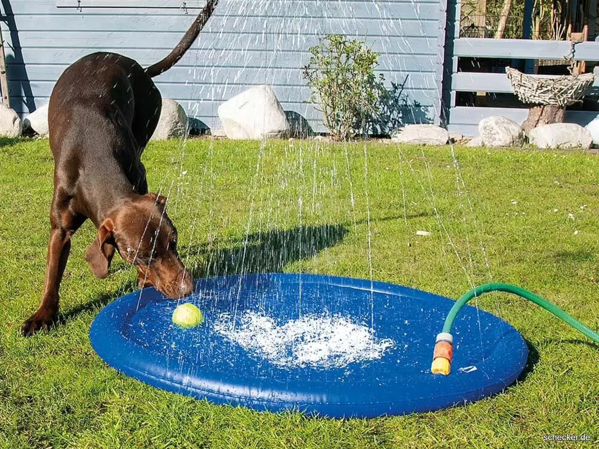 hunde-wasserspielmatte-sprinkler-garten-sommer-abkuehlung