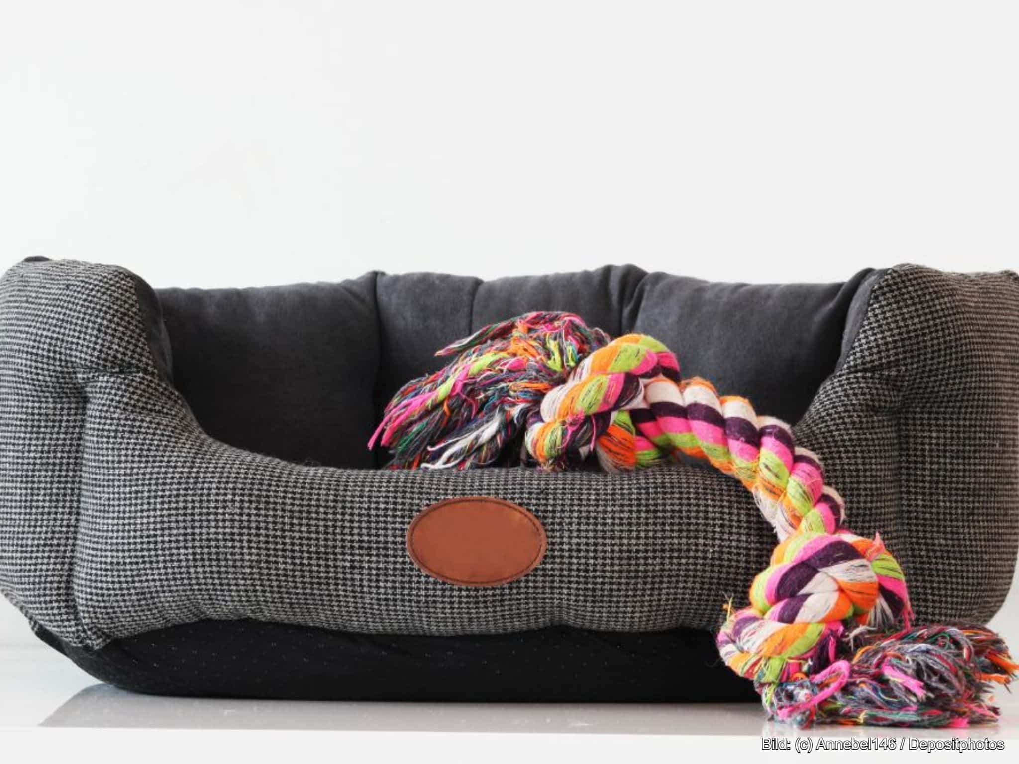 Hundebett waschbar mit Kauspielzeug