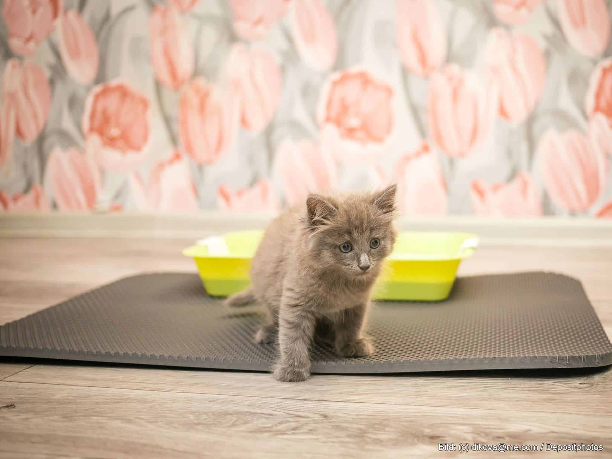 Katzenklo Matte für mehr Sauberkeit