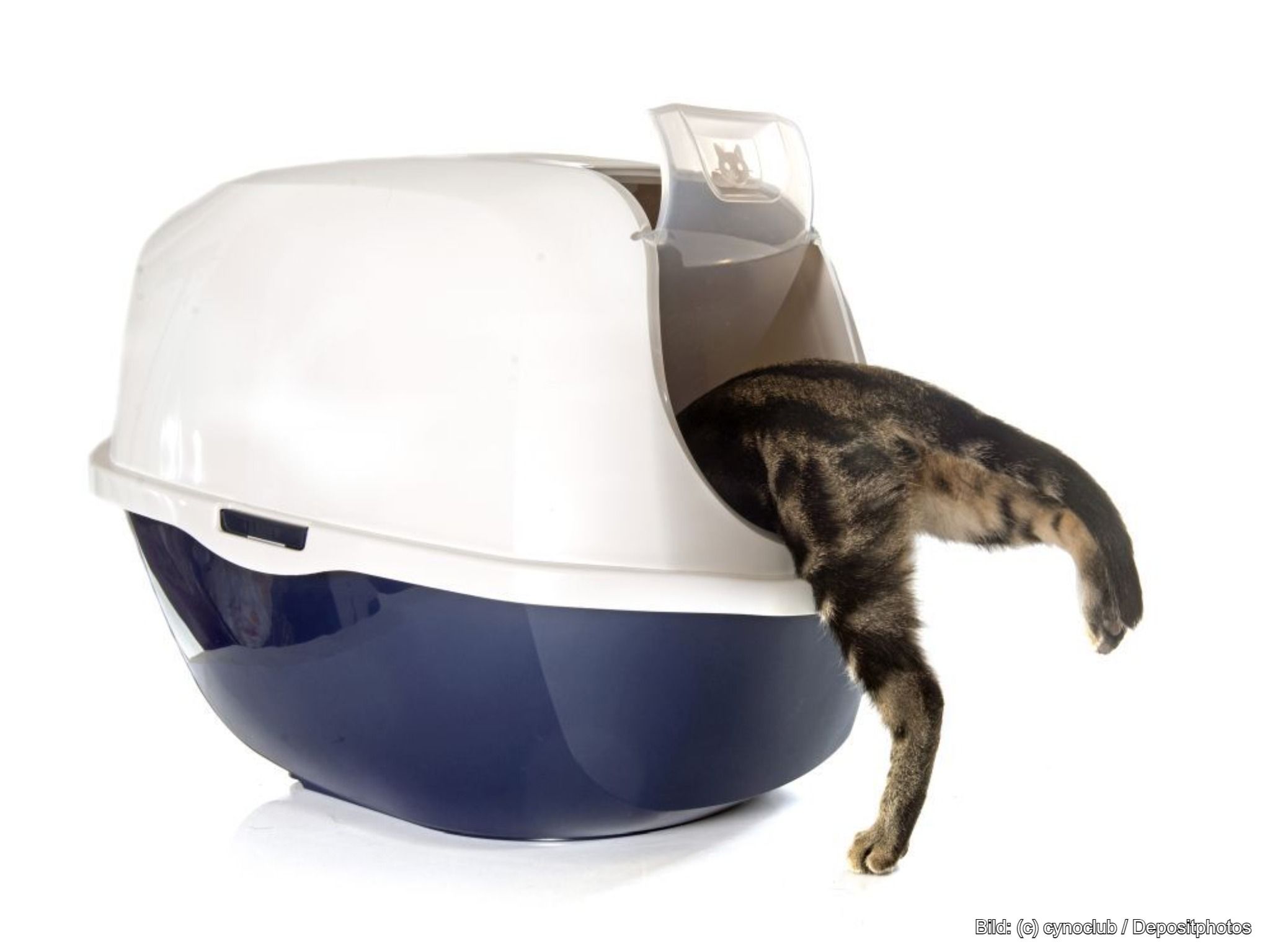 Katzenklo Hop-in Katzentoilette