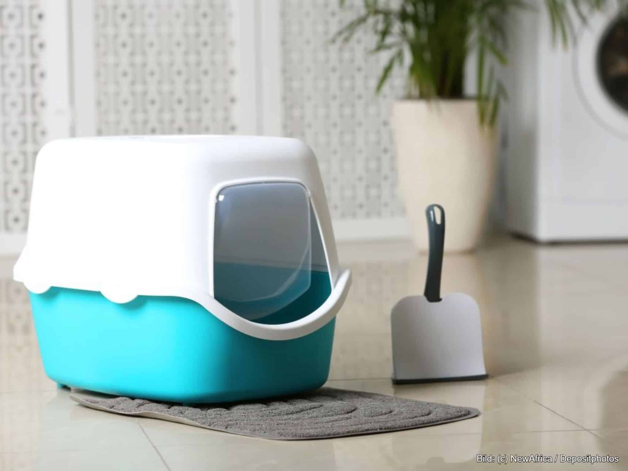 Katzenstreu Matte in Grau