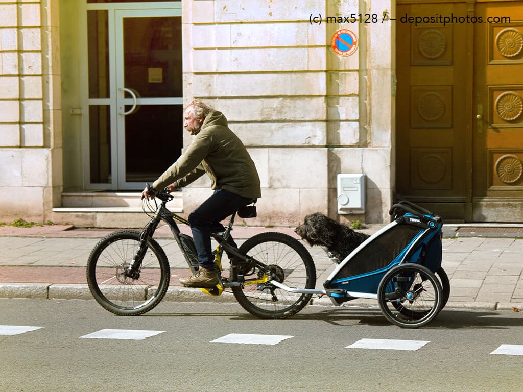 Mann fährt Fahrrad und hat Hund im Fahrradanhänger