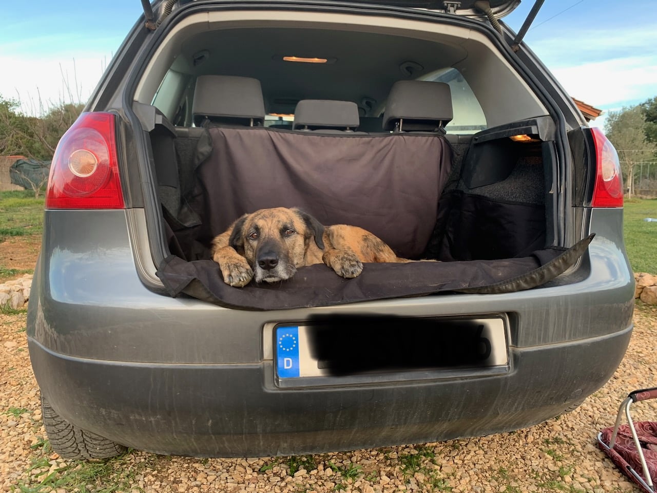 Kofferraumdecke von Heldenwerk im Dauertest