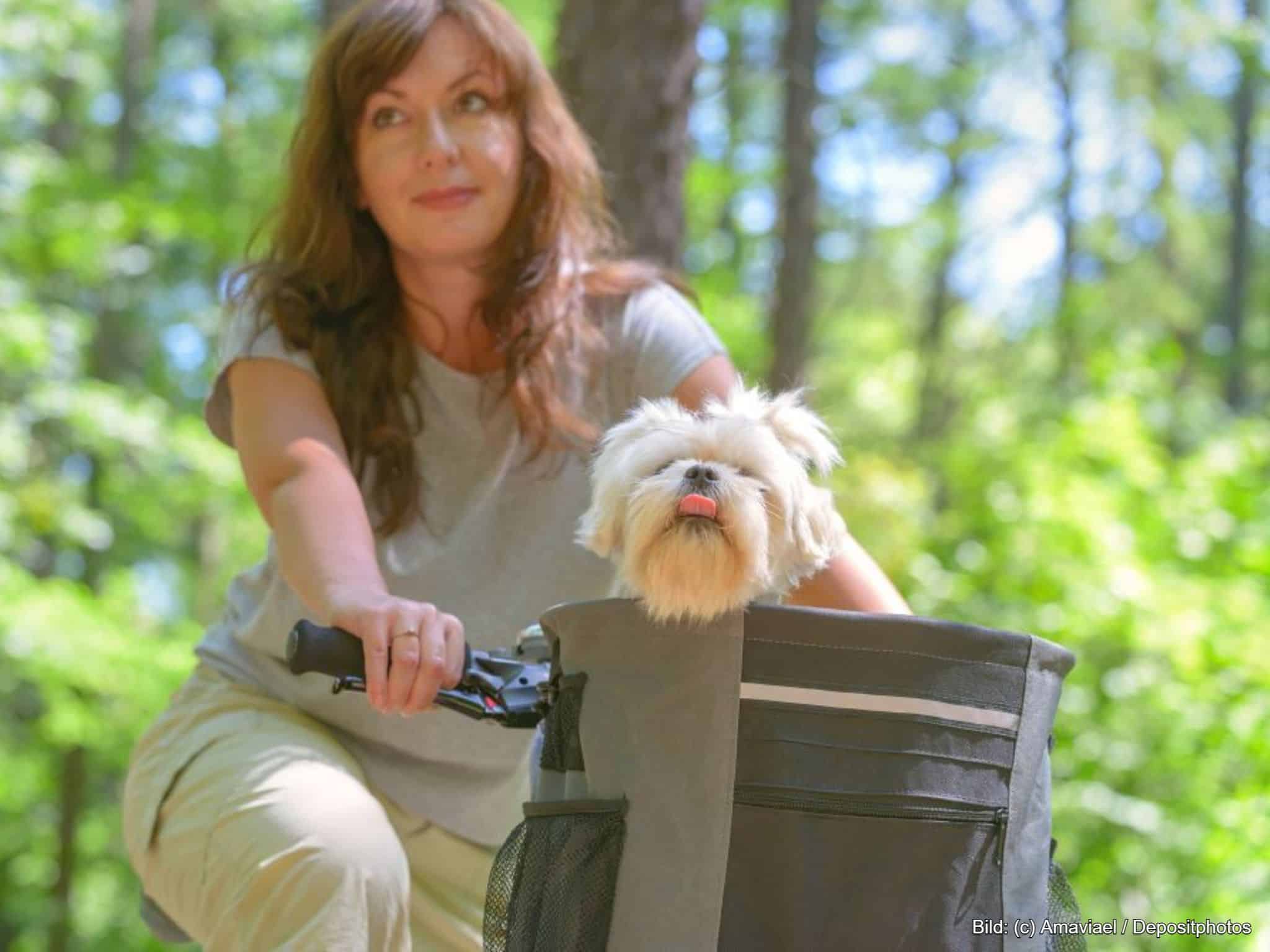 Hundekorb Fahrrad vorne