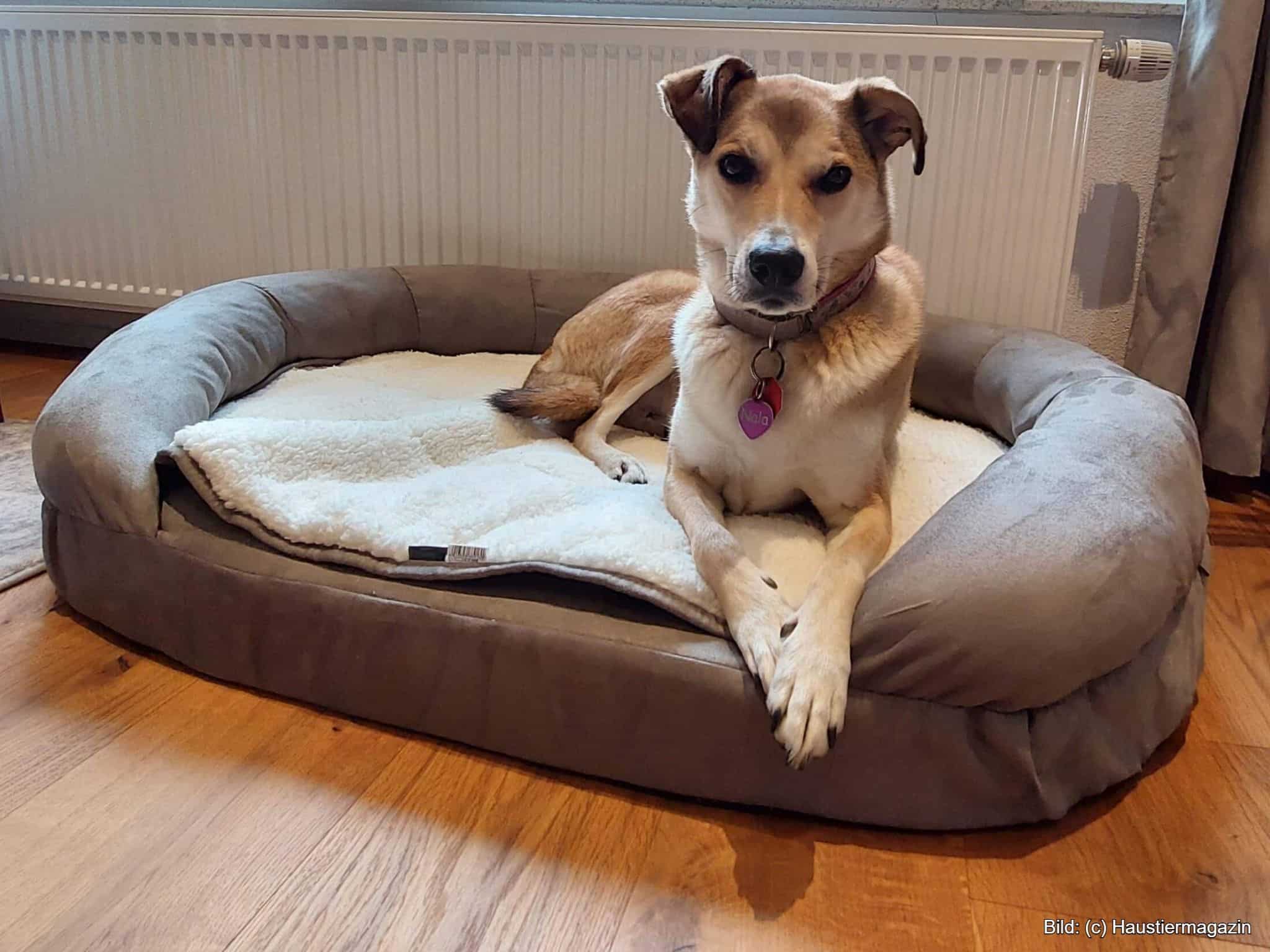 Luxus-Hundebett mit Rand