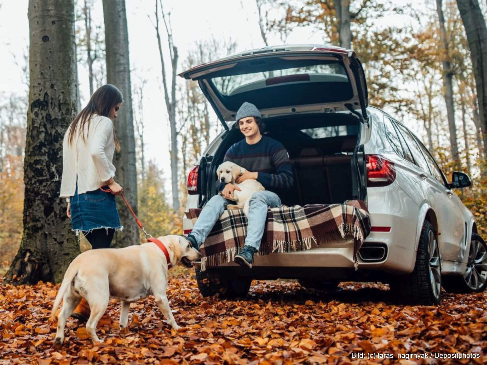 Mit Hundedecke Outdoor im Wald unterwegs
