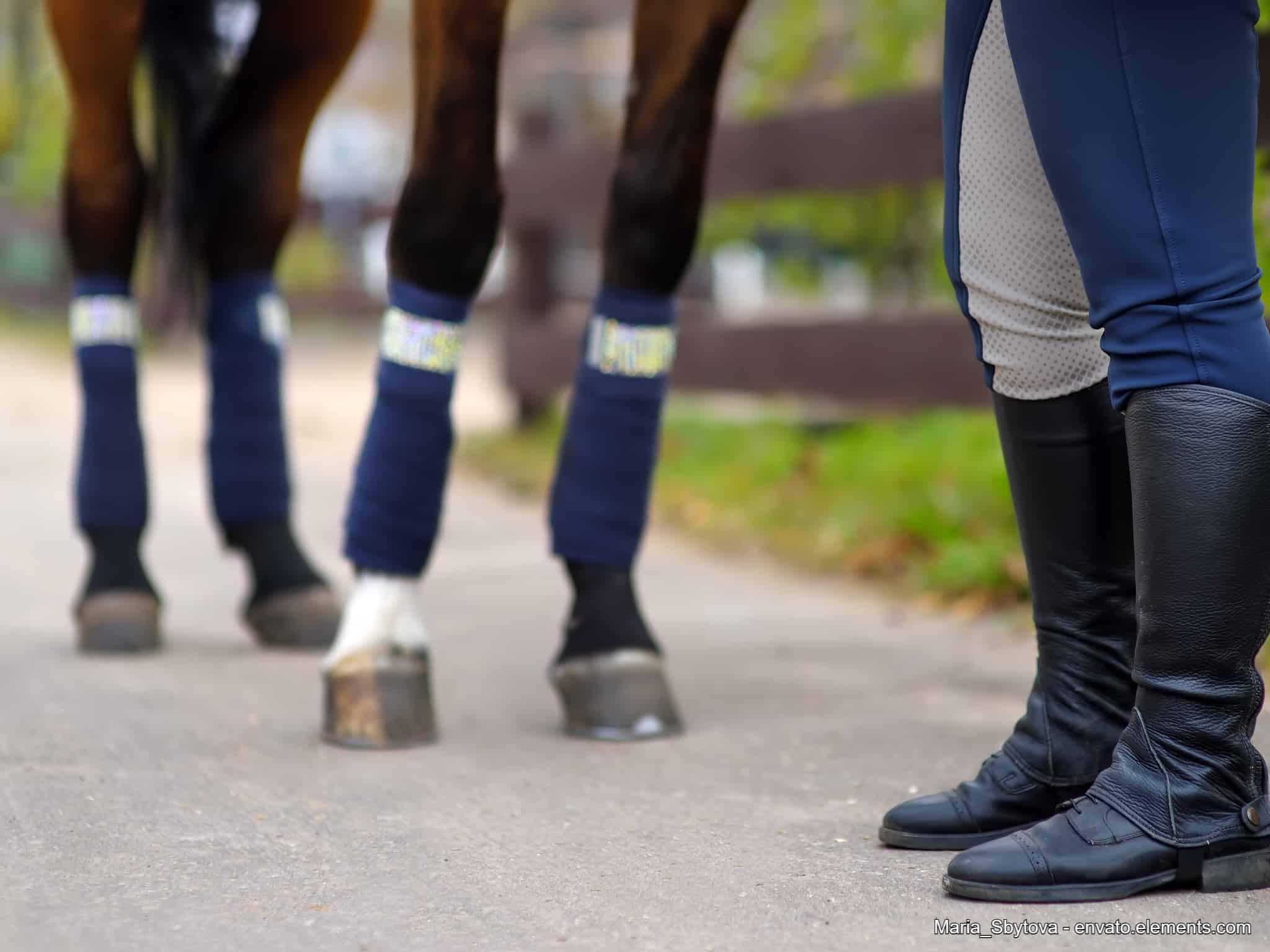 Kühlgamaschen für Pferde