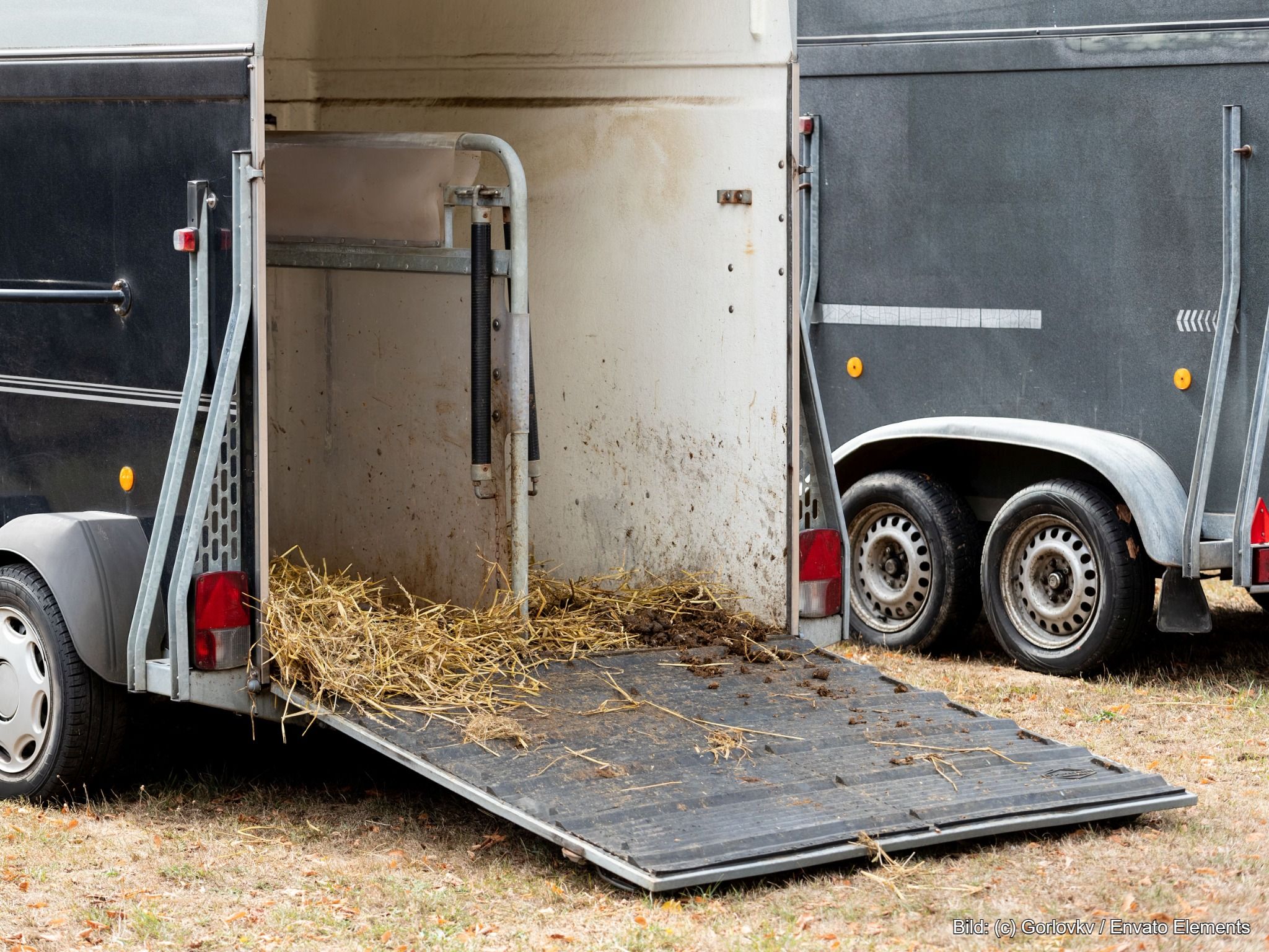 Pferdeanhängerversicherung Vollkasko