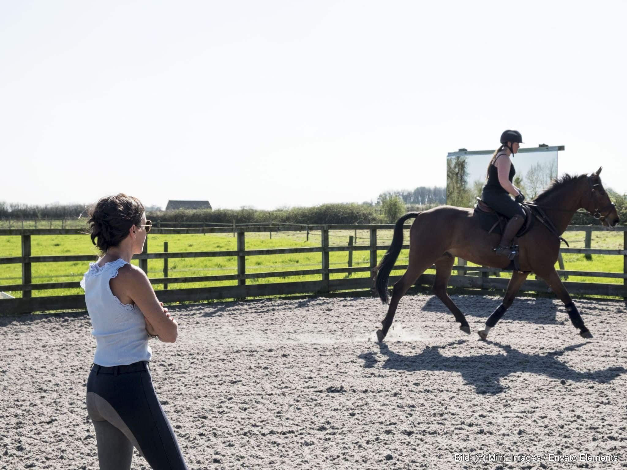 Reitlehrerhaftpflicht ist wichtig