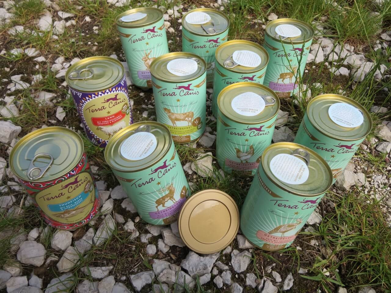 Terra Canis Dosen mit verschiedenen Sorten Hundefutter auf einem Boden draußen. Beschriftung lautet: Hundefutter mit wenig Protein gibt es als Trocken- oder Nassfutter. Oft enthält es nur ein Monoprotein.