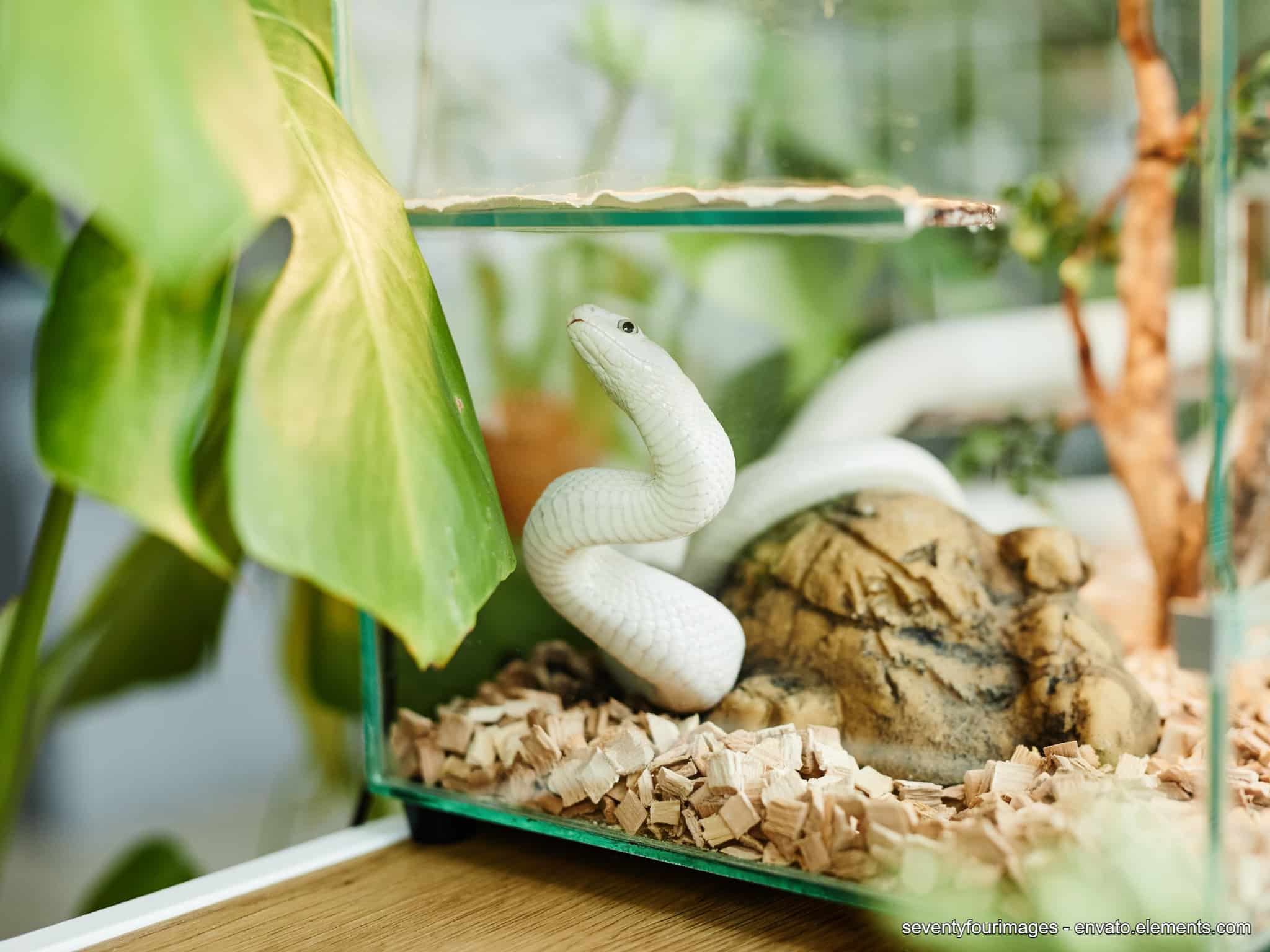 terrarium kaufen