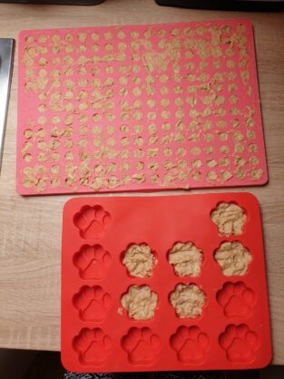 thunfisch-leckerlis-baclmatten