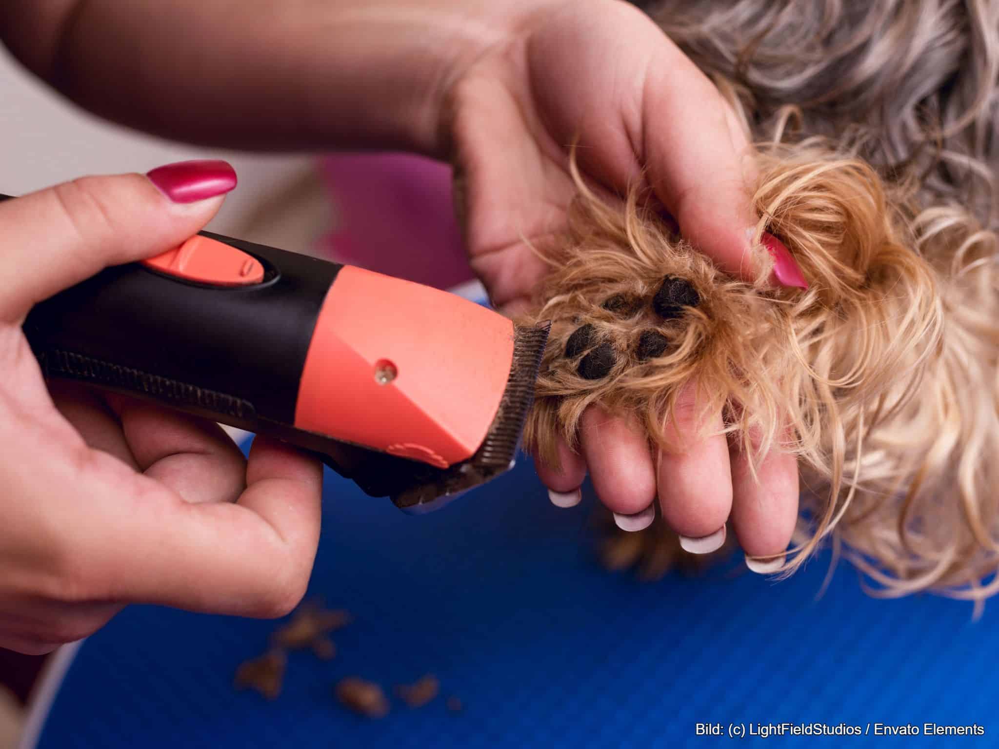 Tierhaarschneider Pfotentrimmer