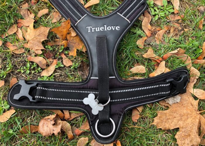 Geschirr „All-day-Adventure“ von Truelove im Test